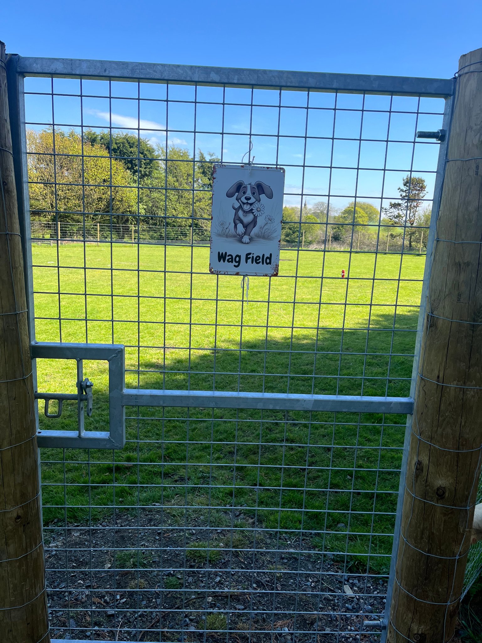 Woof Field